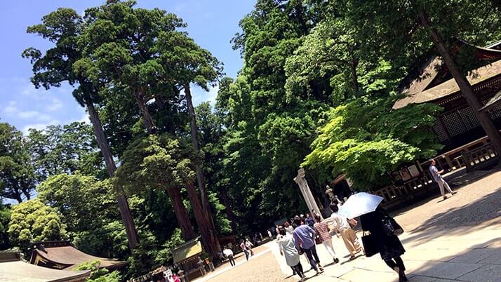 歴史ある古社「鹿島神宮」を巡る！茨城県にある鹿島神社の総本社