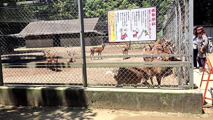 歴史ある古社「鹿島神宮」を巡る！茨城県にある鹿島神社の総本社