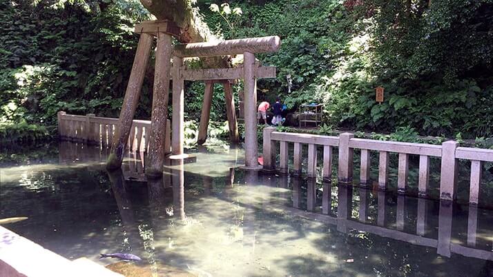 歴史ある古社「鹿島神宮」を巡る！茨城県にある鹿島神社の総本社