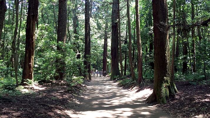 歴史ある古社「鹿島神宮」を巡る！茨城県にある鹿島神社の総本社