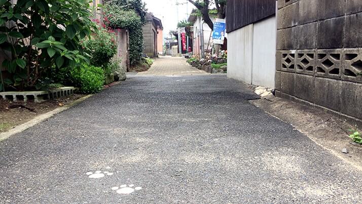 宝当神社にビーチに猫！佐賀の離島「高島」は素敵な島だった（佐賀旅行）