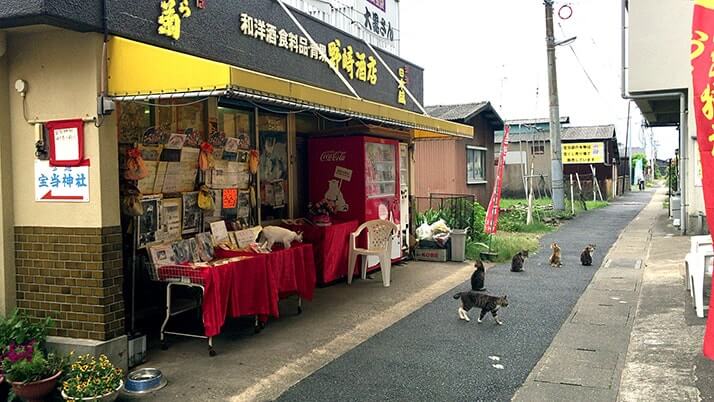 宝当神社にビーチに猫！佐賀の離島「高島」は素敵な島だった（佐賀旅行）