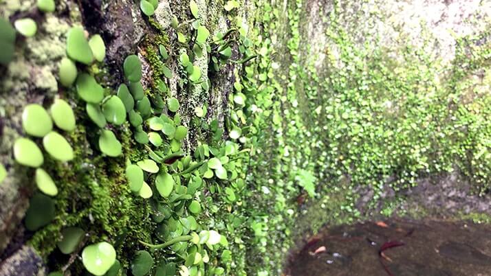 祐徳稲荷神社を写真付き紹介！山頂にある奥の院までの道程も【日本三大稲荷 佐賀】