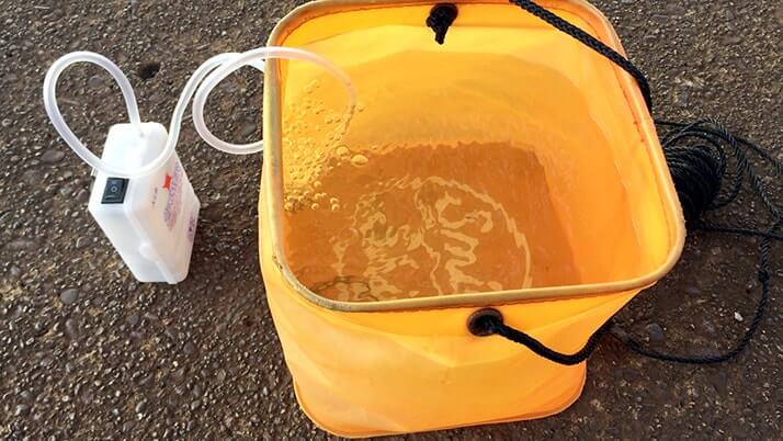 テナガエビやマハゼを釣る!柴又周辺江戸川でのお気楽釣り テナガエビやマハゼを釣る!柴又周辺江戸川でのお気楽釣り