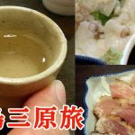 タコつぼ漁体験！広島三原の伝統蛸壺漁を間近で見る興奮
