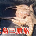 自転車で巡る広島三原！古き良き町並みの中をレンタル自転車で巡る