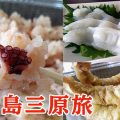 「三原やっさタコ」料理で絶品蛸三昧!タコ刺し・タコ天・タコ飯!【広島三原旅】 「三原やっさタコ」料理で絶品蛸三昧!タコ刺し・タコ天・タコ飯!【広島三原旅】