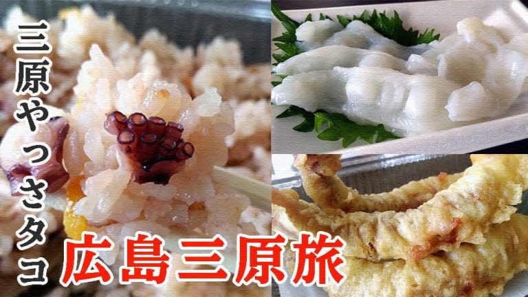 「三原やっさタコ」料理で絶品蛸三昧！タコ刺し・タコ天・タコ飯！【広島三原旅】