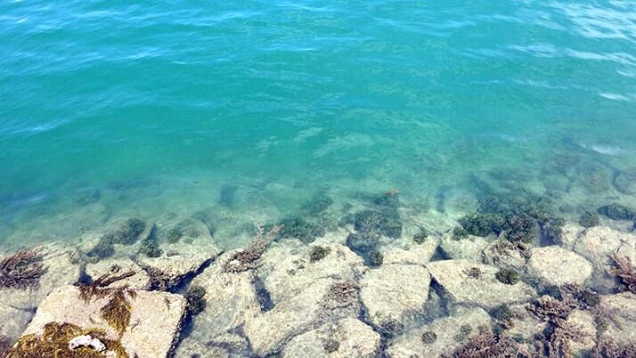 瀬戸内の離島「佐木島」3時間観光｜美しいビーチが素敵すぎる島【広島三原旅】