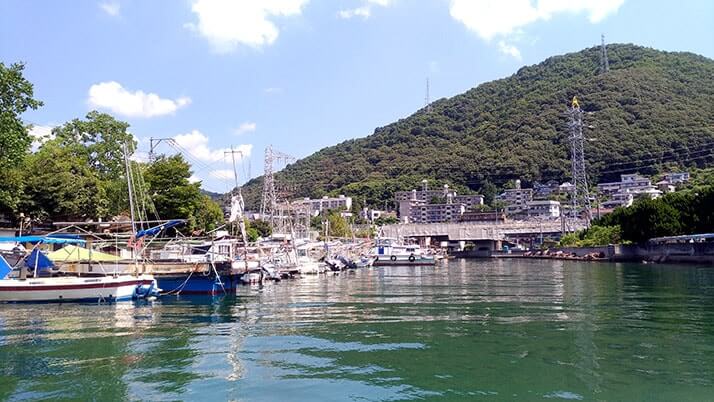 タコつぼ漁体験！広島三原の伝統蛸壺漁を間近で見る興奮