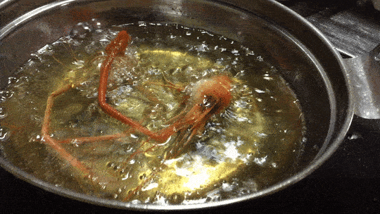 釣ったテナガエビでエビチリ!一度素揚げにすると殻付きでも旨い! 釣ったテナガエビでエビチリ!一度素揚げにすると殻付きでも旨い!