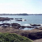 広島三原の地酒「醉心」｜夏限定"氷わり原酒"のロックを堪能