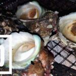 旨い!マツバガイの炊き込みご飯にサザエの壺焼きでプチBBQ 旨い!マツバガイの炊き込みご飯にサザエの壺焼きでプチBBQ