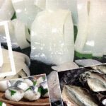釣ったケンサキイカを捌いて絶品刺身!鯖・アジはしめ鯖と干物にして釣りメシ 釣ったケンサキイカを捌いて絶品刺身!鯖・アジはしめ鯖と干物にして釣りメシ