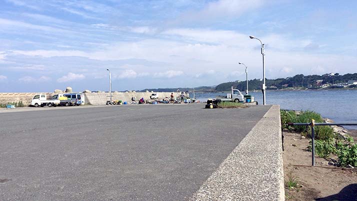 週末釣りで三浦半島の三戸浜堤防へ!釣果はアイゴ(もらいもの) 週末釣りで三浦半島の三戸浜堤防へ!釣果はアイゴ(もらいもの)