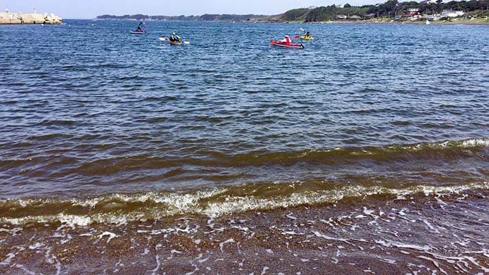 週末釣りで三浦半島の三戸浜堤防へ!釣果はアイゴ(もらいもの) 週末釣りで三浦半島の三戸浜堤防へ!釣果はアイゴ(もらいもの)