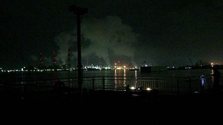 念願の初イカ!茨城鹿嶋の堤防夜釣りでケンサキイカが釣れたよ 念願の初イカ!茨城鹿嶋の堤防夜釣りでケンサキイカが釣れたよ