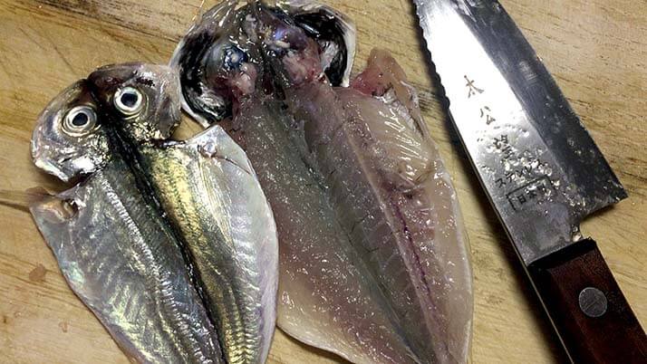 釣ったケンサキイカを捌いて絶品刺身!鯖・アジはしめ鯖と干物にして釣りメシ 釣ったケンサキイカを捌いて絶品刺身!鯖・アジはしめ鯖と干物にして釣りメシ