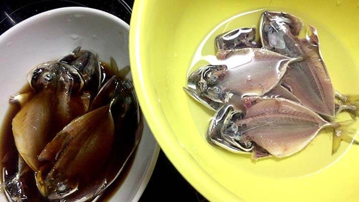釣ったケンサキイカを捌いて絶品刺身!鯖・アジはしめ鯖と干物にして釣りメシ 釣ったケンサキイカを捌いて絶品刺身!鯖・アジはしめ鯖と干物にして釣りメシ