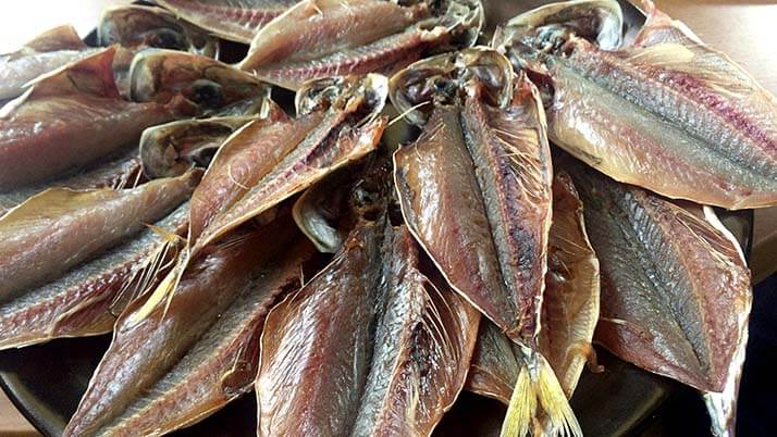 釣ったケンサキイカを捌いて絶品刺身!鯖・アジはしめ鯖と干物にして釣りメシ 釣ったケンサキイカを捌いて絶品刺身!鯖・アジはしめ鯖と干物にして釣りメシ