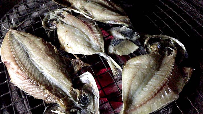 釣ったケンサキイカを捌いて絶品刺身!鯖・アジはしめ鯖と干物にして釣りメシ 釣ったケンサキイカを捌いて絶品刺身!鯖・アジはしめ鯖と干物にして釣りメシ