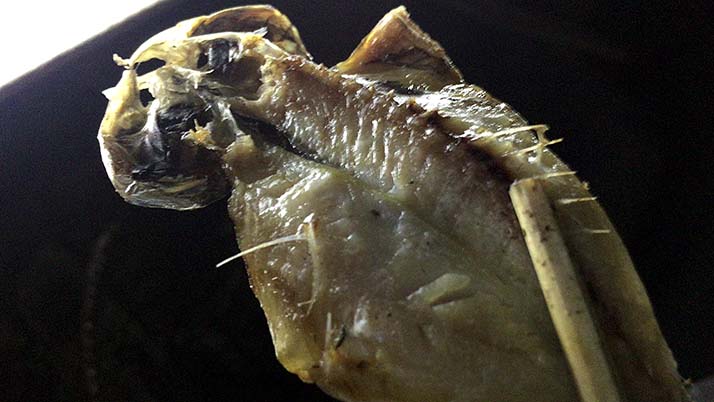 釣ったケンサキイカを捌いて絶品刺身!鯖・アジはしめ鯖と干物にして釣りメシ 釣ったケンサキイカを捌いて絶品刺身!鯖・アジはしめ鯖と干物にして釣りメシ