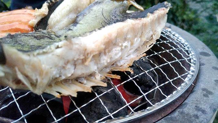 釣りでもらったアイゴと石鯛の干物!炭火で焼いて食せば旨い! 釣りでもらったアイゴと石鯛の干物!炭火で焼いて食せば旨い!
