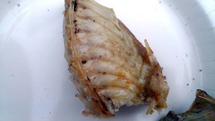 釣りでもらったアイゴと石鯛の干物!炭火で焼いて食せば旨い! 釣りでもらったアイゴと石鯛の干物!炭火で焼いて食せば旨い!