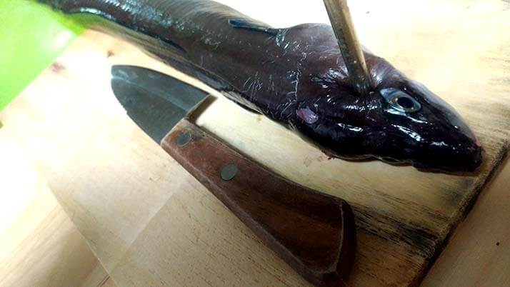 釣ったアナゴで煮穴子と白焼きのあいのせ重!ショウジンガニとカワハギの味噌汁も 釣ったアナゴで煮穴子と白焼きのあいのせ重!ショウジンガニとカワハギの味噌汁も