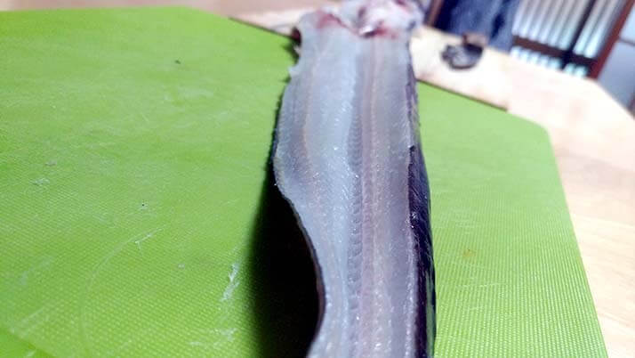 釣ったアナゴで煮穴子と白焼きのあいのせ重!ショウジンガニとカワハギの味噌汁も 釣ったアナゴで煮穴子と白焼きのあいのせ重!ショウジンガニとカワハギの味噌汁も