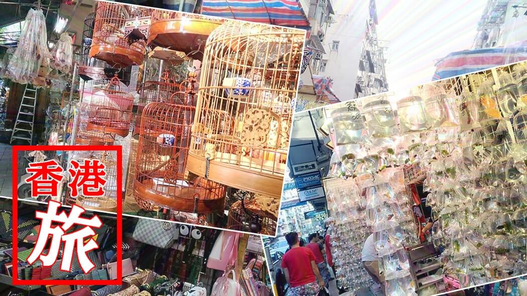 鳥に花に金魚に雑貨！香港の◯◯専門市場街が散策にオススメ！！