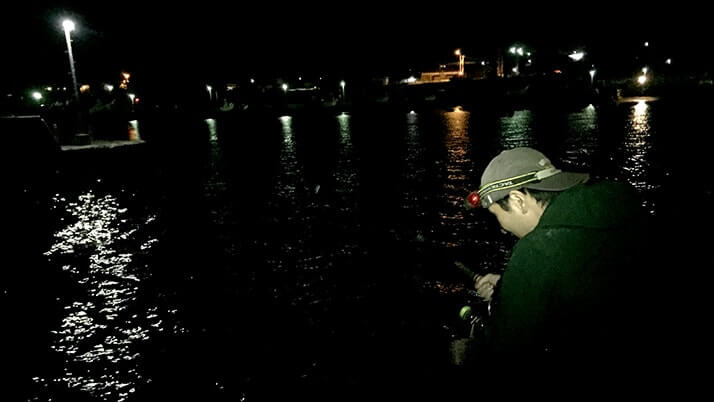 千葉内房堤防夜釣り!メバルにカワハギが釣れるも小物…大物はアカエイ 千葉内房堤防夜釣り!メバルにカワハギが釣れるも小物…大物はアカエイ