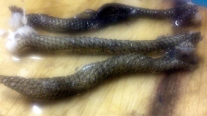 ムラソイの刺身とネギトロ!皮は湯引き!ムラソイは絶品釣り魚 ムラソイの刺身とネギトロ!皮は湯引き!ムラソイは絶品釣り魚