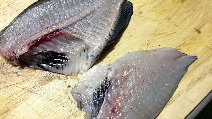 グレ(メジナ)の湯霜・焼霜造り!皮の旨味が◎な刺身【釣り飯】 グレ(メジナ)の湯霜・焼霜造り!皮の旨味が◎な刺身【釣り飯】