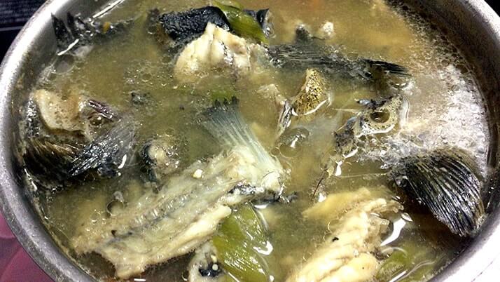 さばいた魚のアラを使ってあら汁!グレ・ムラソイ編【釣り飯】 さばいた魚のアラを使ってあら汁!グレ・ムラソイ編【釣り飯】