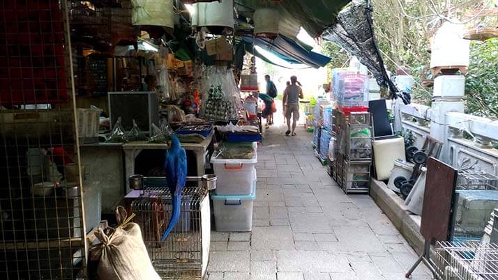 鳥に花に金魚に雑貨！香港の◯◯専門市場街が散策にオススメ！！