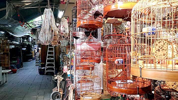 鳥に花に金魚に雑貨！香港の◯◯専門市場街が散策にオススメ！！