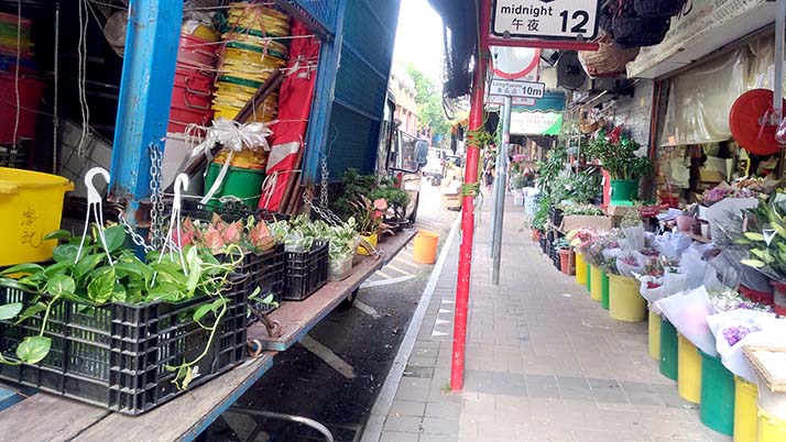 鳥に花に金魚に雑貨！香港の◯◯専門市場街が散策にオススメ！！