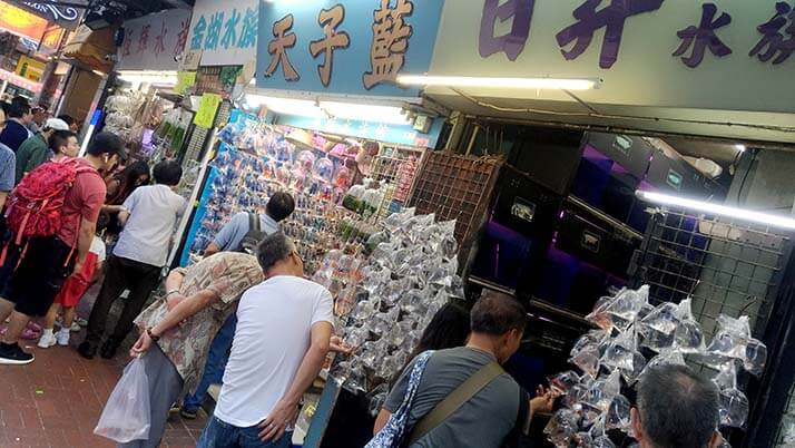 鳥に花に金魚に雑貨！香港の◯◯専門市場街が散策にオススメ！！