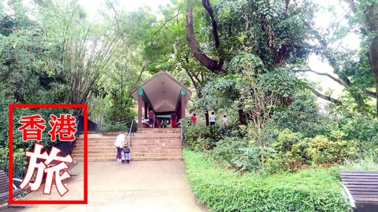 九龍公園｜太極拳をする地元民が集まる憩いの場には鳥園も！