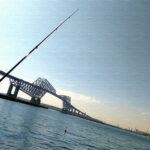 若洲海浜公園で釣りのち焚き火!釣り場やキャンプサイトの様子 若洲海浜公園で釣りのち焚き火!釣り場やキャンプサイトの様子