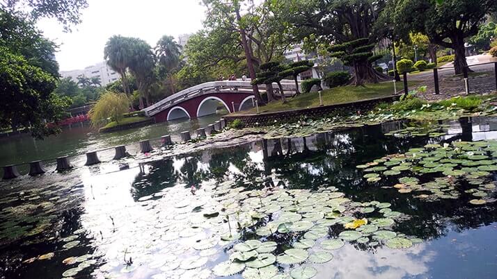 台中公園｜リスに鳥、人が集う都会のオアシスで旅の休憩！