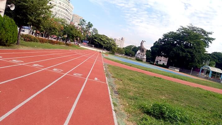 台中公園｜リスに鳥、人が集う都会のオアシスで旅の休憩！