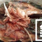 釣ってきたメバルとカサゴで煮つけ!【釣りメシ】 釣ってきたメバルとカサゴで煮つけ!【釣りメシ】