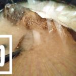釣ってきたムラソイを味噌汁に!フンドーキンで魚本来の味を引き出す?【釣りメシ】 釣ってきたムラソイを味噌汁に!フンドーキンで魚本来の味を引き出す?【釣りメシ】