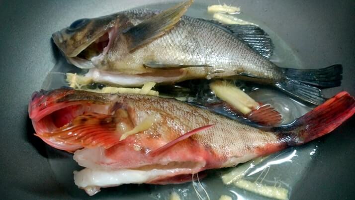 釣ってきたメバルとカサゴで煮つけ!【釣りメシ】 釣ってきたメバルとカサゴで煮つけ!【釣りメシ】