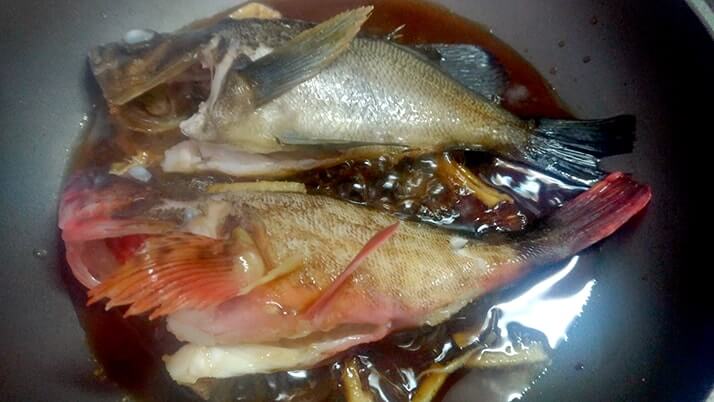 釣ってきたメバルとカサゴで煮つけ!【釣りメシ】 釣ってきたメバルとカサゴで煮つけ!【釣りメシ】