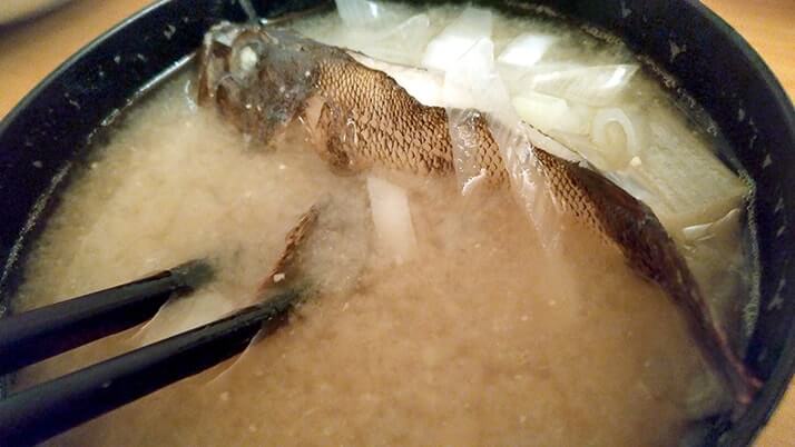 釣ってきたムラソイを味噌汁に!フンドーキンで魚本来の味を引き出す?【釣りメシ】 釣ってきたムラソイを味噌汁に!フンドーキンで魚本来の味を引き出す?【釣りメシ】