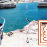 千葉外房鴨川で釣り!青年の家下の磯と江見漁港で小サバ入れ食い 千葉外房鴨川で釣り!青年の家下の磯と江見漁港で小サバ入れ食い