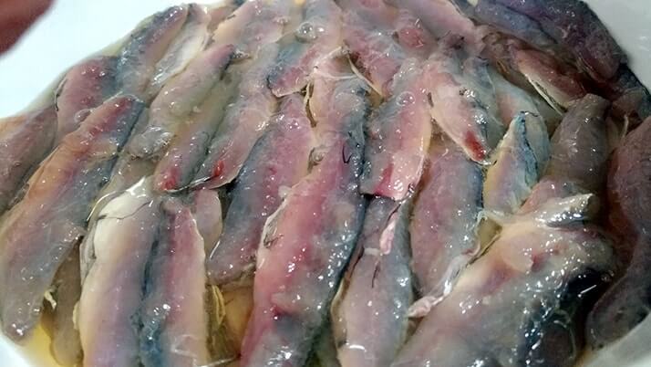 千葉外房堤防で釣った小サバをしめ鯖の手毬寿司と干物に!【釣りメシ】 千葉外房堤防で釣った小サバをしめ鯖の手毬寿司と干物に!【釣りメシ】